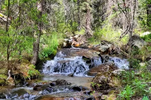 Wigwam creek has a few drops due to gradation on the way up