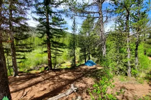 Upper meadow offers lots of great camping opportunities for a great weekend or through hike