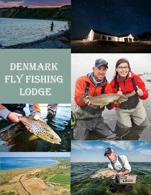 Fly Fish Denmark on the coast fly fishing the flats for sea trout and sea run brown trout