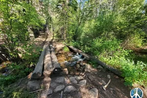 Wigwam trail crosses Wigwam creek and follows the creek up to its headwaters