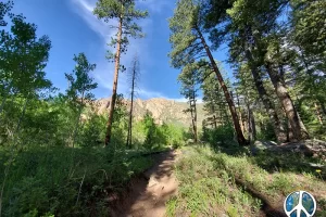 Distant cliffs, the rock formation in Lost Creek Wilderness are super cool