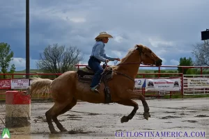 Women's Barrel Racing Montana