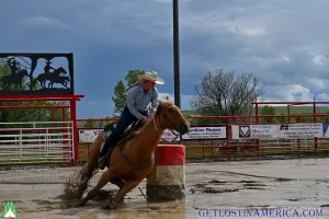 Women's Barrel Racing Montana