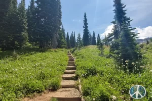 Still a bit of climb up into the center of the meadow past the camping area