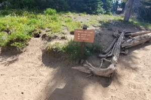 Actual junction, ranger with noise blasts to scare off the bears