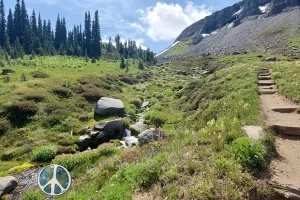 Up a little further in search of an empty boulder for lunch and take in the panoramas on the Wonderland Trail Mount Rainier