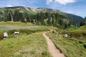 Looking up trail towards Panhandle Gap in Mount Rainier National Park on Wonderland Trail