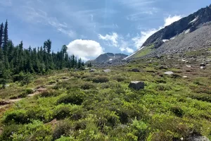 Hiking up towards Panhandle Gap a few hundred yards, it's still over a mile to the gap