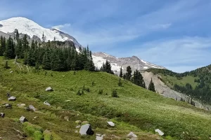 Beginning the trek back down to Frying Pan Creek Trailhead in Mount Rainier National Park.