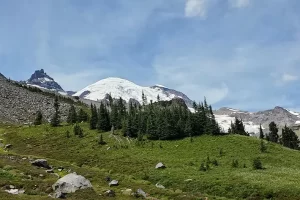 One Last Glance from the meadows edge at Mount Rainier before the real descent begins