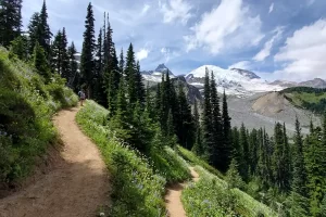 Coming to the first switchback as I leave Summerland Meadow on Mount Rainier