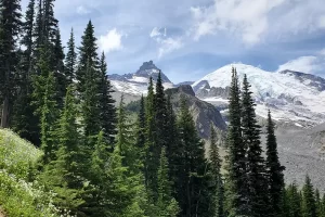 Looking back at Mount Rainier