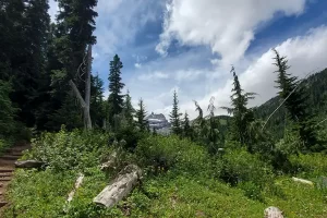 Descending Wonderland Trail from Summerland Meadow in Mount Rainier National Park