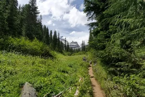 One last look up the trail