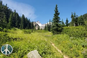 After a couple of switchbacks trail opens up small narrow valley meadow on Mount Rainier