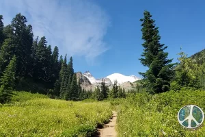 Mount Rainier comes back into view, in this ever changing landscape