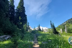 Redundancy of photos, with every step creating a new view on the trail