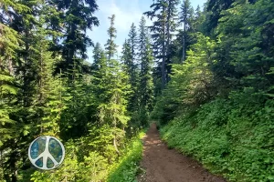 Valley narrows even more as the switchback become closer with each step