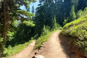 And they begin as I start the final ascent to Summerland Meadow on Mount Rainier hiking the Wonderland Trail