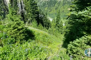 Looking back down at the Frying Pan Creek in the canyon where we just came from.