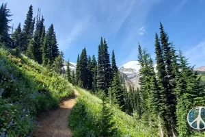 Even though there is a flow of hikers, and backpackers going both directions. It's still a very enjoyable hike.