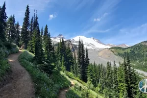 Opening splendor as I transverse the trail upwards