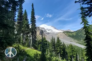 Mount Rainier begins it's grand appearance with every step