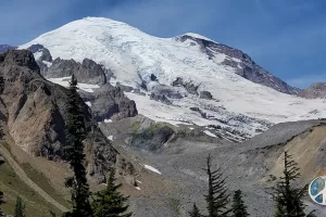 Close up shot of Mount Rainier through the trees before reaching alpine