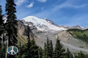 A very majestic mountain Rainier is. It's 14,411'