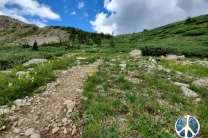 Looking up towards the pass