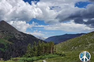 Gazing into Tunnel Gulch off toward Buena Vista Colorado