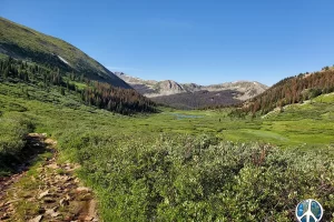 Just off the pass is a fairly good size meadow full of water with beaver ponds, nature doing what it does best creating life