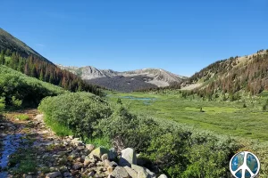 Glad I made the second attempt to do Williams Pass. Hard to believe a month ago buried in snow.