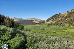 I try to leave no view of the trail unphotographed. so much to see, most would walk right by and not even notice.