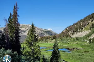 When I was here last in the snow, small herds of elk were wander along the ridges following a trail left by the sun melting off the snow