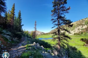 Glad the sun is beginning to reach the lower sections of the trail, the water cools a person down quick