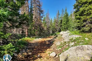 Just came out the trail river, It drops down the mountain and crosses the trail before disappearing into the valley below