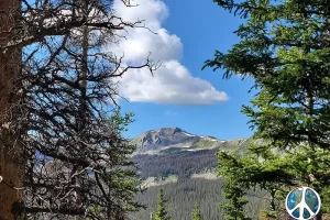 Zoomed in view of the across the valley in the Gunnison National Forest Get Lost in America