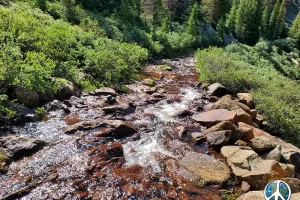 As I leave the meadow, the water from the beaver ponds and trail cross this trail, flow is moving , it is quite steep