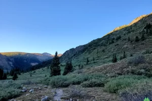 Collegiate Peaks Wilderness Area to the rear