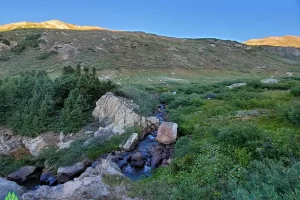 Meadow above the gorge blanketed in shades of green with blue waters flowing through it