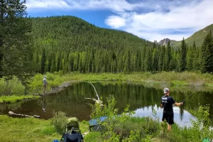 Caught several very small brook trout