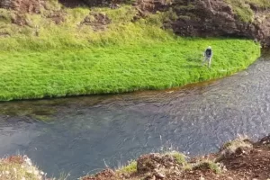Hiking and fly fishing a river bank in Iceland with Get Lost in America