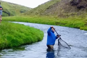 Finally in the net Atlantic Salmon in Iceland with Get Lost in America | Saltwater on the Fly