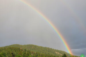 Rainbow the evening before as I was packing the rig for the trip to Rocky Mountain National Park to hike East Inlet Trail Colorado