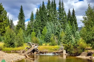 Closer look at the beaver dam with Get Lost in America