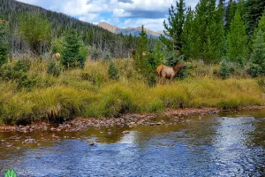 One last look before heading back to camp and out for a hike