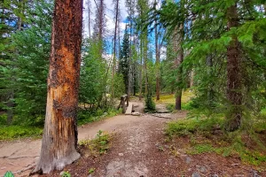 In the summer months Colorado Trail along the Colorado River is well travel, fall is a great time to hike the Rocky Mountain National Park