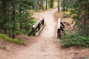 Second foot bridge on trail, this a fairly open meadow, there are some old miners cabins along trail.