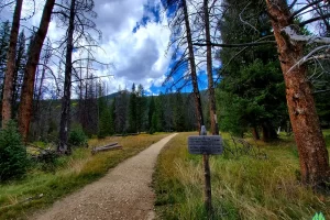 More signage with waypoints and milage, a very cool area to explore. Even in the summer 2 to 3 miles in you loose most hikers.